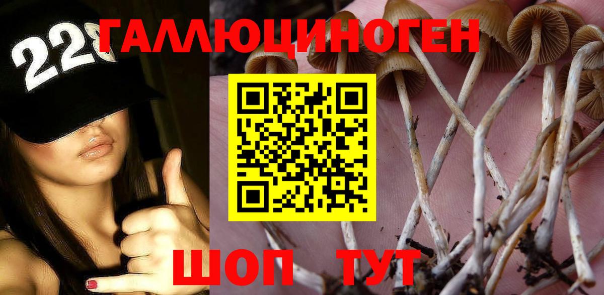 Псилоцибиновые грибы Magic Shrooms Верхний Уфалей